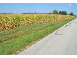 Property photo 55 - REAL ESTATE AUCTION - 604+/- ACRES IN 14 TRACTS IN MERCER CO., OHIO